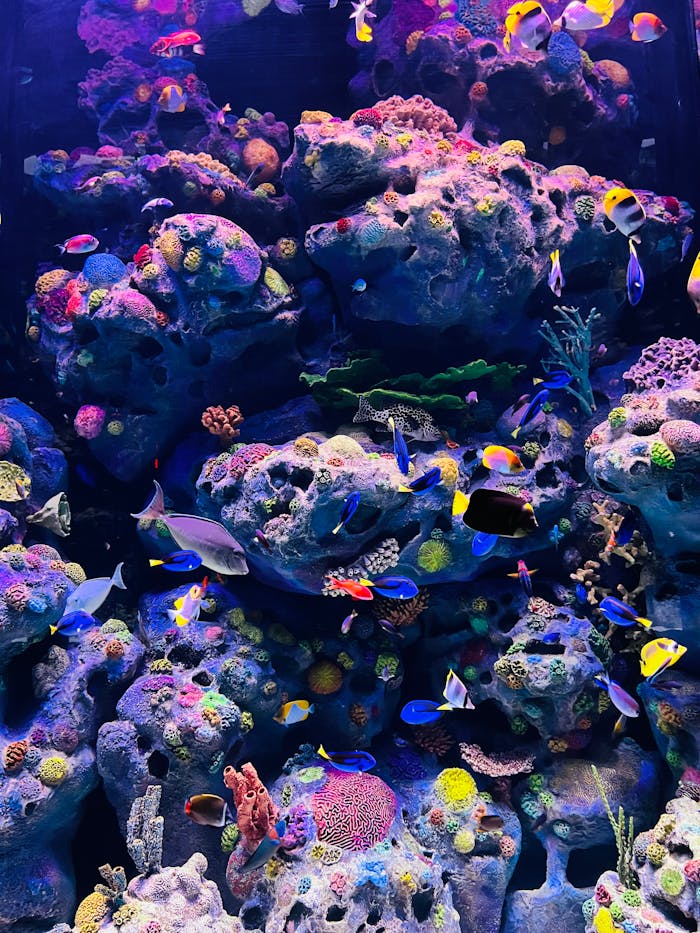 The Art of Drawing Readers In: Your attractive post title goes here Bright tropical fish swimming amidst a vibrant coral reef in a beautifully lit aquarium.